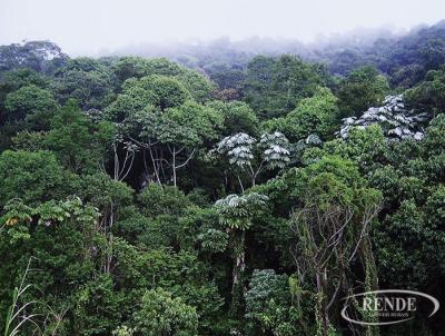 Fazenda para Venda, em Mangaratiba, bairro 