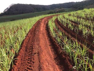 Stio para Venda, em Descalvado, bairro 