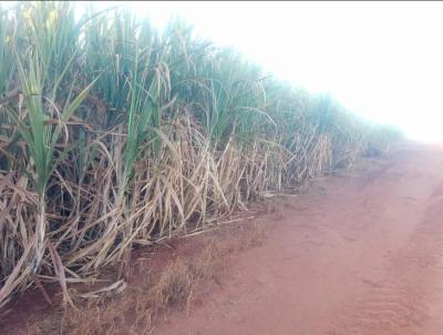 Fazenda para Venda, em Descalvado, bairro 