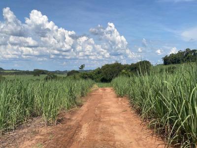 Fazenda para Venda, em Pirassununga, bairro 