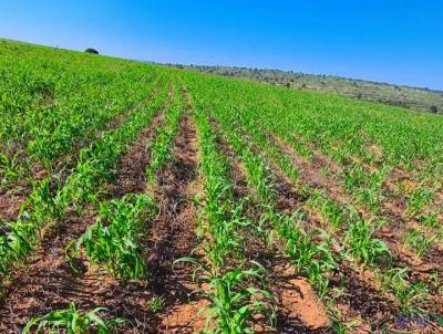 Fazenda para Venda, em Palestina, bairro 