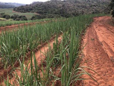 Stio para Venda, em Pirassununga, bairro 