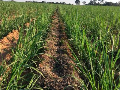 Fazenda para Venda, em Santa Rita do Passa Quatro, bairro 