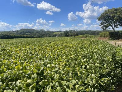 Stio para Venda, em Pirassununga, bairro 