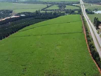 Stio para Venda, em Agua, bairro 