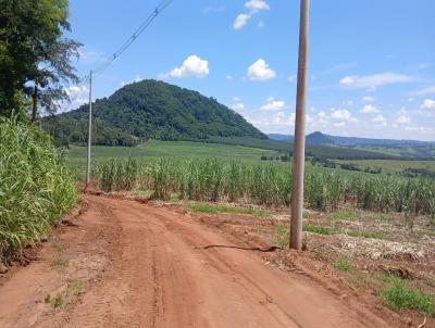 Fazenda para Venda, em Brotas, bairro 