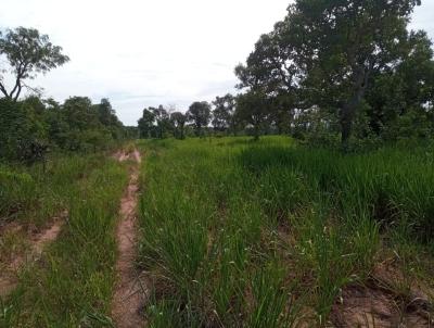 Fazenda para Venda, em Jaraguari, bairro 