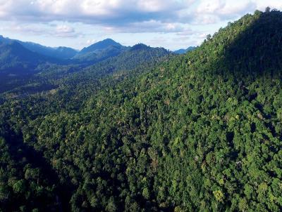 rea de Preservao Ambiental para Venda, em Pedro de Toledo, bairro 