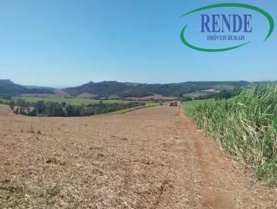 Fazenda para Venda, em Santa Cruz das Palmeiras, bairro 