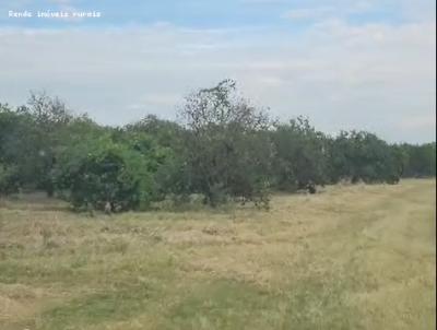 Stio para Venda, em Mogi Guau, bairro 