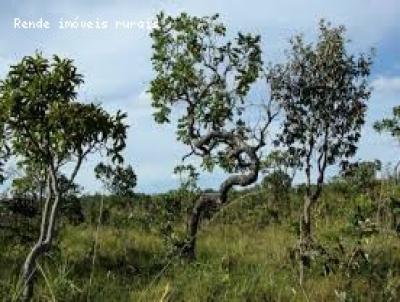 rea de Preservao Ambiental para Venda, em Joo Pinheiro, bairro 