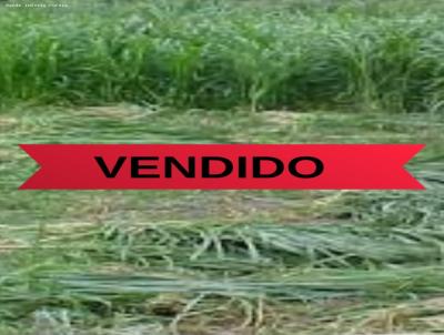 Sítio para Venda, em Tambaú, bairro
