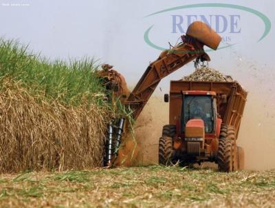Stio para Venda, em Santa Cruz da Conceio, bairro 