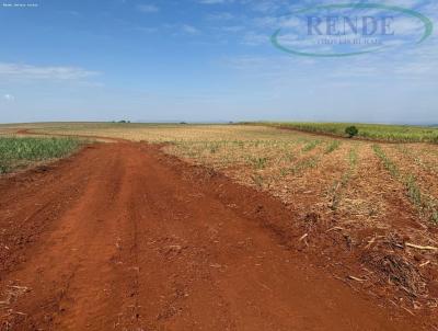 Fazenda para Venda, em So Simo, bairro 