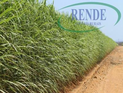 Stio para Venda, em , bairro 
