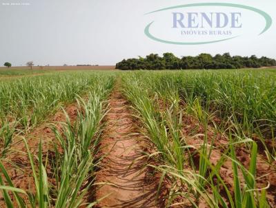 Fazenda para Venda, em Araraquara, bairro 