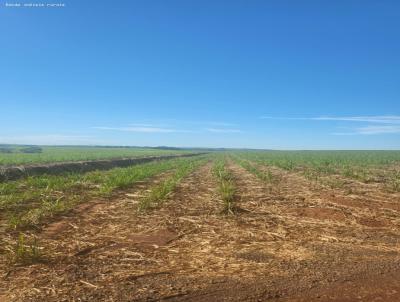 Fazenda para Venda, em Ribeiro Bonito, bairro 