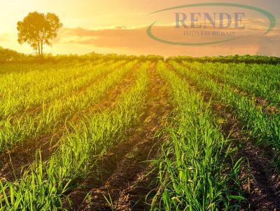 Fazenda para Venda, em Tamba, bairro 