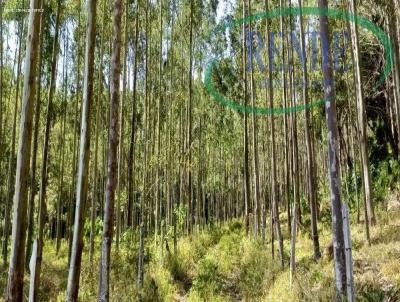 Stio para Venda, em Tamba, bairro 