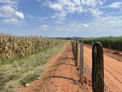Stio para Venda, em , bairro 