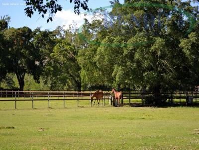 Haras para Venda, em Tamba, bairro 