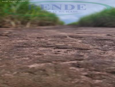 Stio para Venda, em So Simo, bairro 