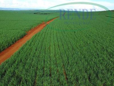 Stio para Venda, em Pirassununga, bairro 