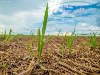 Stio para Venda, em Pirassununga, bairro 