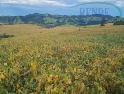 Fazenda para Venda, em Itapira, bairro 