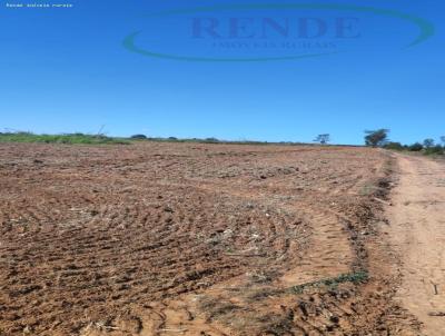 Stio para Venda, em Casa Branca, bairro 