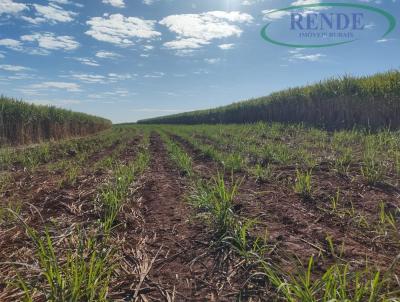 Fazenda para Venda, em Descalvado, bairro 