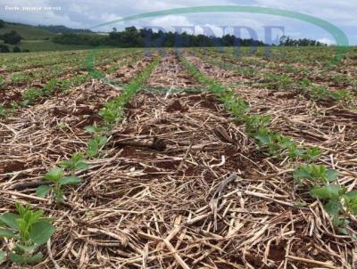 Stio para Venda, em Rio Claro, bairro 