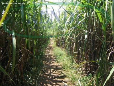 Chcara para Venda, em Rio Claro, bairro 