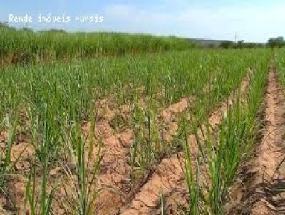 Stio para Venda, em Pirassununga, bairro 