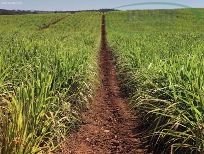 Fazenda para Venda, em Casa Branca, bairro 