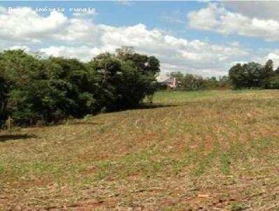 Stio para Venda, em Ribeiro Preto, bairro 