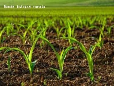 Stio para Venda, em Pirassununga, bairro 