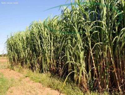 Fazenda para Venda, em Mogi Guau, bairro 