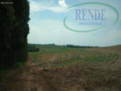 Fazenda para Venda, em Corumbata, bairro 