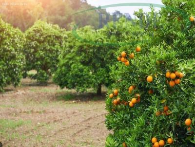 Stio para Venda, em Mogi Guau, bairro 