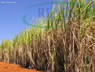 Fazenda para Venda, em Descalvado, bairro 