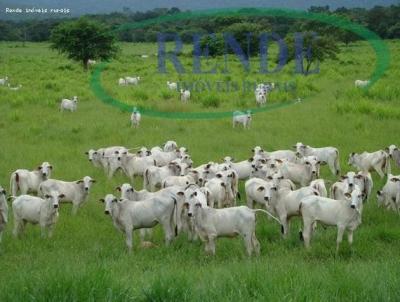 Fazenda para Venda, em Itapira, bairro 