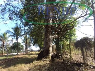 Stio para Venda, em Santa Cruz da Conceio, bairro 