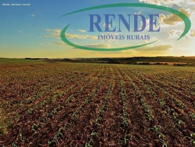 Stio para Venda, em Tamba, bairro 