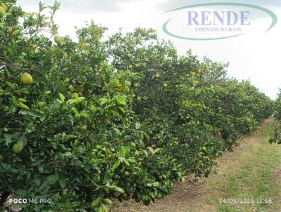 Fazenda para Venda, em Cajuru, bairro 