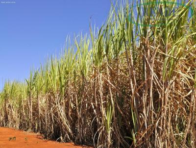 Fazenda para Venda, em Casa Branca, bairro 