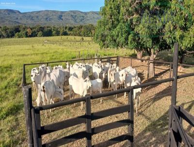 Fazenda para Venda, em Buritis, bairro 