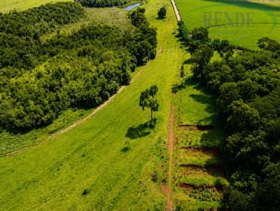Fazenda para Venda, em Lu�s Ant�nio, bairro 